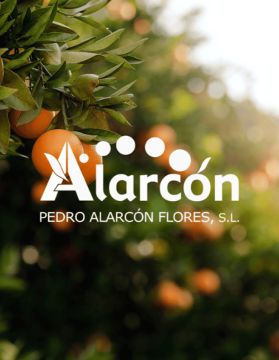Pedro Alarcón Flores